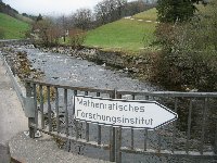 IMG_1136.JPG