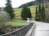 IMG_1137.JPG