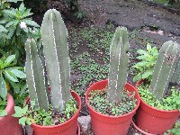 IMG_0765.JPG