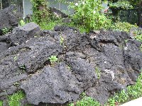 IMG_0766.JPG