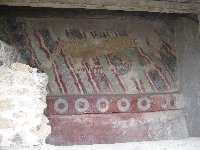 IMG_0783.JPG