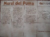 IMG_0784.JPG