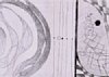 composition0002.jpg