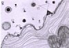 composition0012.jpg