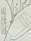cubisme0005.jpg