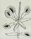 cubisme0011.jpg