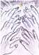 hand0006.jpg