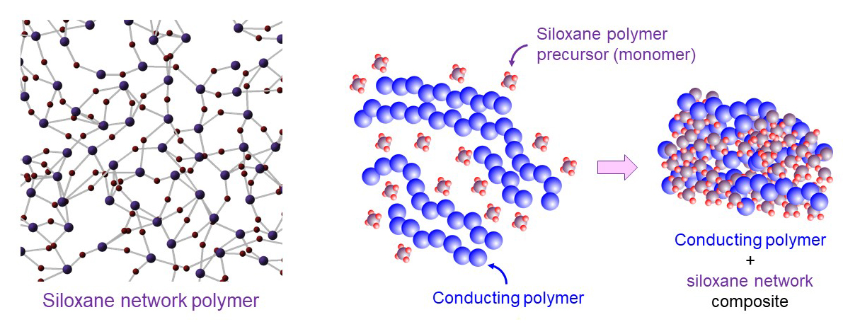 siloxane network