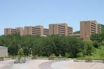 �L�����p�X�b�H�w���b�L����w�b��w�|�[�g���[�g