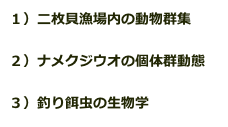 １）二枚貝漁場内の動物群集

２）ナメクジウオの個体群動態

３）釣り餌虫の生物学