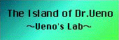 Ueno Lab