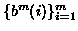 $\{b^m(i)\}_{i=1}^{m}$
