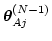 $\mbox{\boldmath$\theta$}_{Aj}^{(N-1)}$