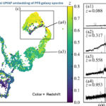 UMAP Exploration of PFS/Subaru Galaxy Spectra: Redshift Sequences, Spectral Populations, and Stellar Contaminants