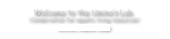 Welcome to the Umino’s Lab.
（Conservation for aquatic living resources）
Official English page