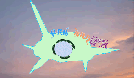 gpcr