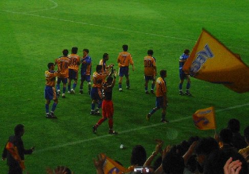 Vegalta7
