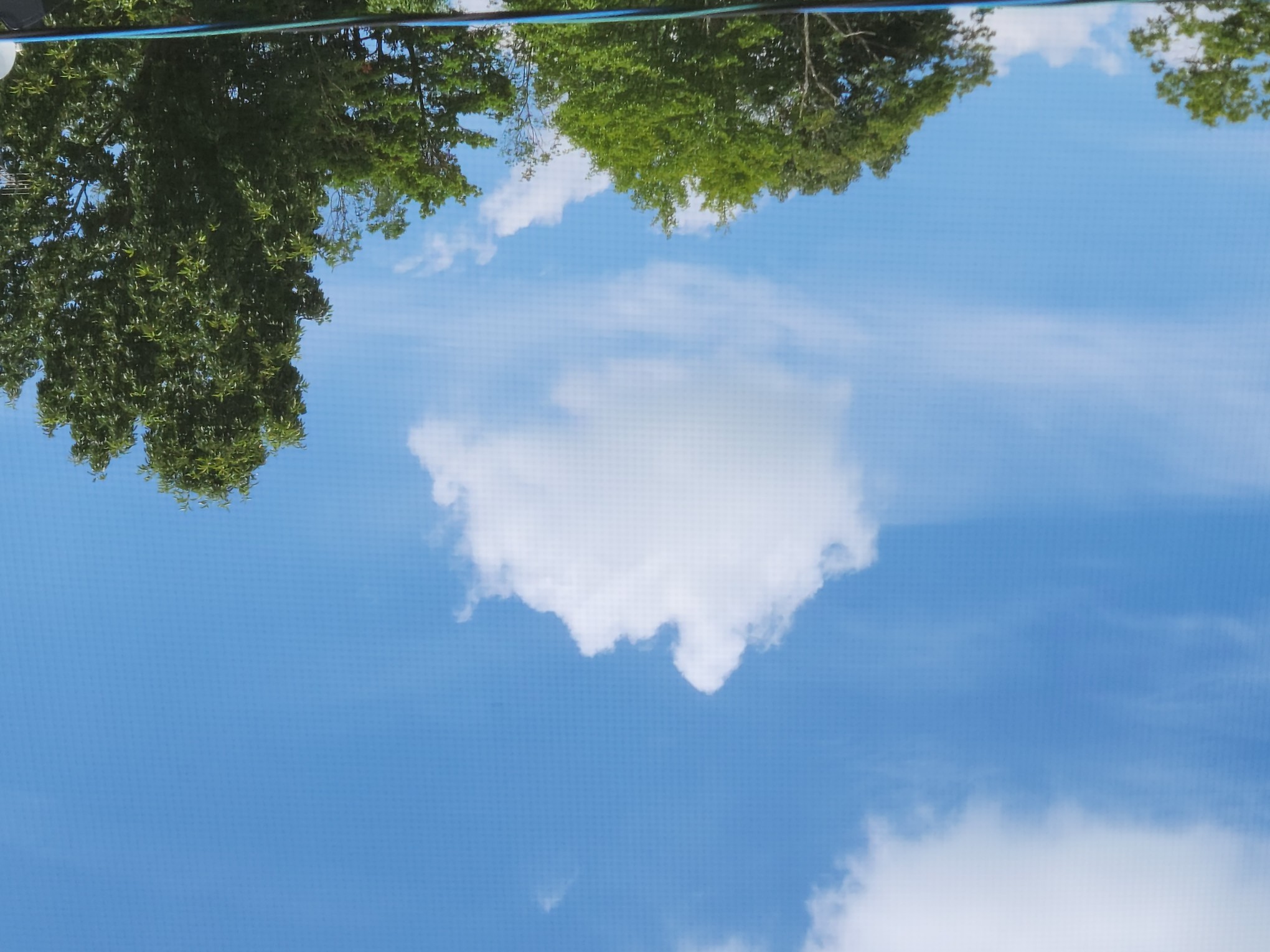 写真2